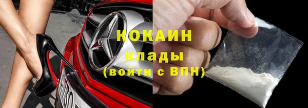 прущий лед Алзамай