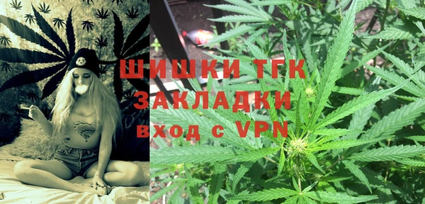 прущий лед Алзамай