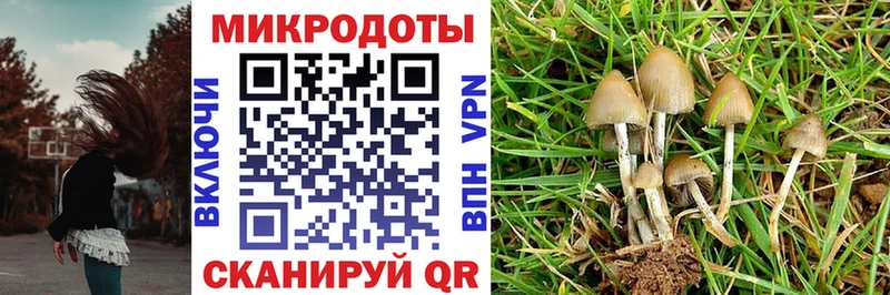KRAKEN tor  Сыктывкар  shop как зайти  Галлюциногенные грибы Cubensis 
